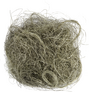 Sisal