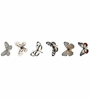Studio Light - Essentials - Grunge Collection - Embellishment - Stickers - Butterfly