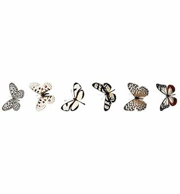 Studio Light - Essentials - Grunge Collection - Embellishment - Stickers - Butterfly