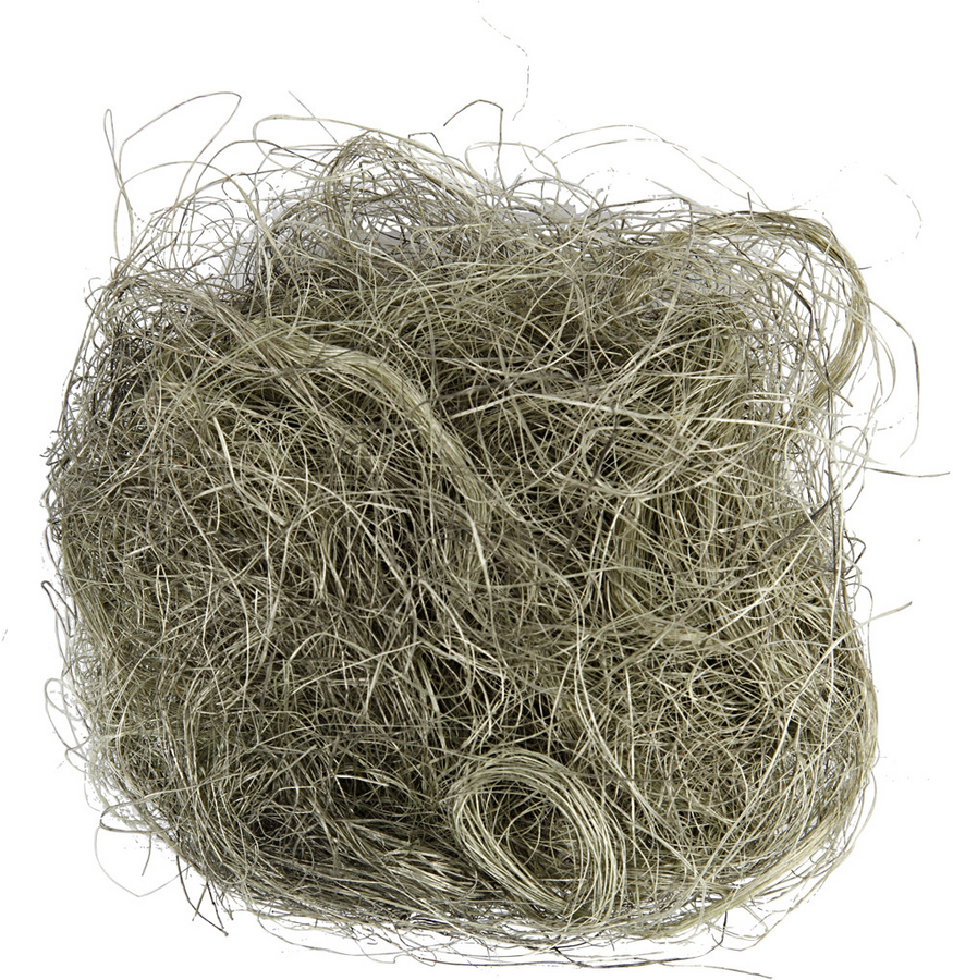 Sisal