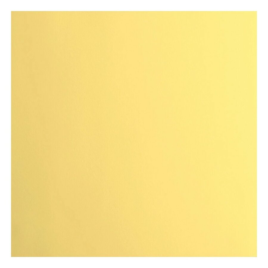 305x305