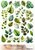 Ja Di Design - Knipvel - Decoupage - Leaves - 01