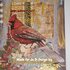 Ja Di Design - Papieset - Backgrounds - Vintage Christmas - 20x20_