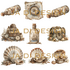 Ja Di Design - Papierset - Knipvellen - Rustic Nautical - 15x15 cm_